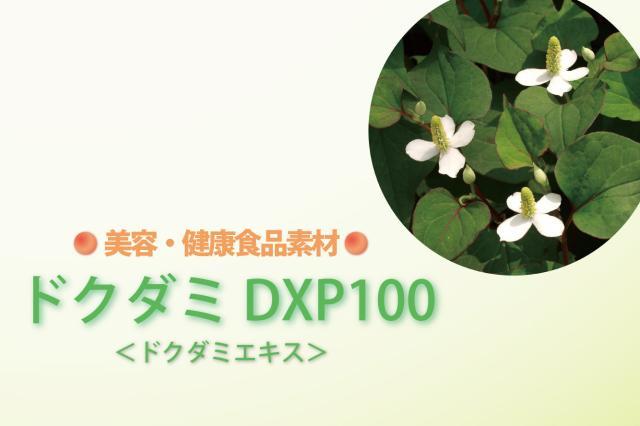 ドクダミDXP100（食品原料）