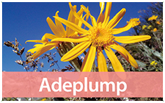 adeplump