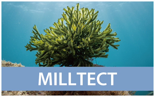 milltect