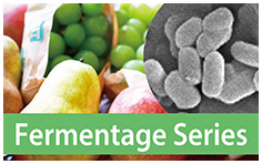 Fermentage_series