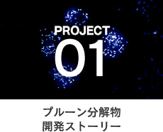 PROJECT 01