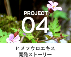 PROJECT 04