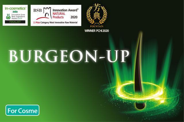 BURGEON-UP / BURGEON-UP(HS)