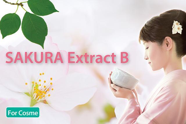 SAKURA Extract B