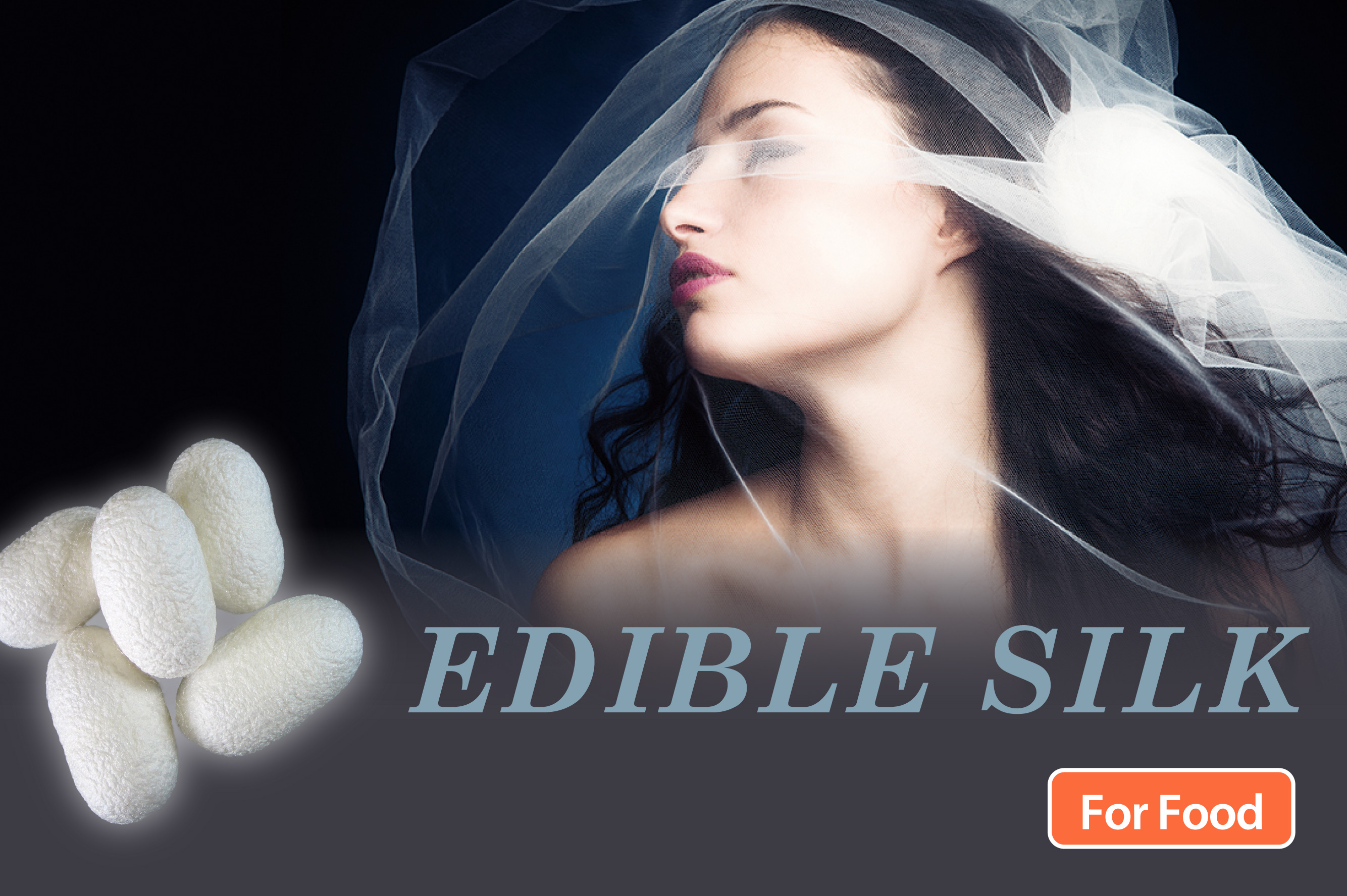 EDIBLE SILK (For Health Food Ingredient)